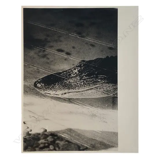 Peter Peryer 'Alligator', 1979